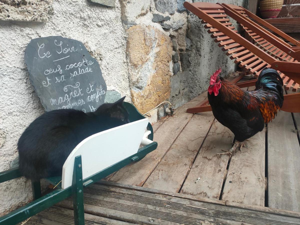 Les Chatougoulis Couette-café Les Bordes-sur-Lez